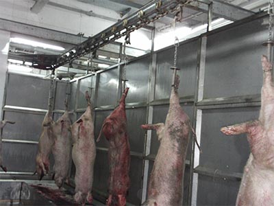 放血自動(dòng)線(xiàn)